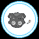 小灰灰